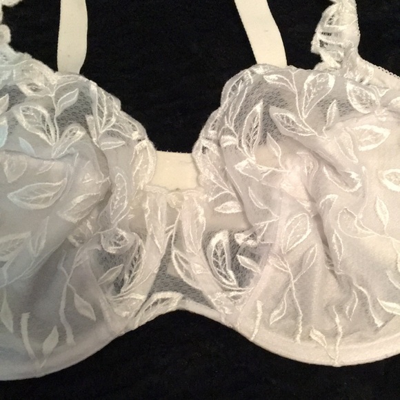 Bra - Picture 2 of 6